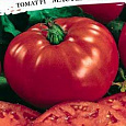Томат (Помидор) обыкновенный Мастер Гарден F1